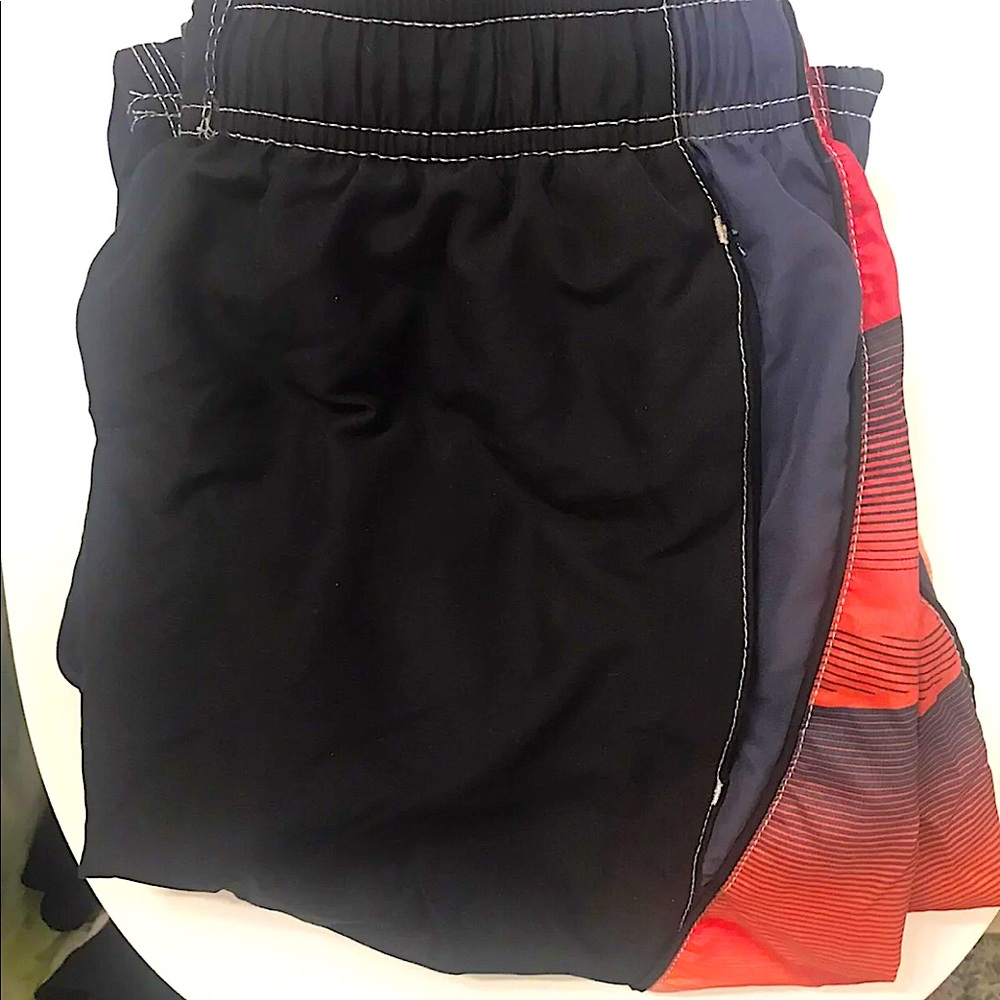 Speedo Bathing Suit
